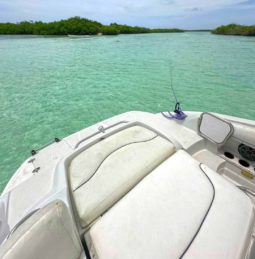 
										CROWNLINE 260EX 26 full									