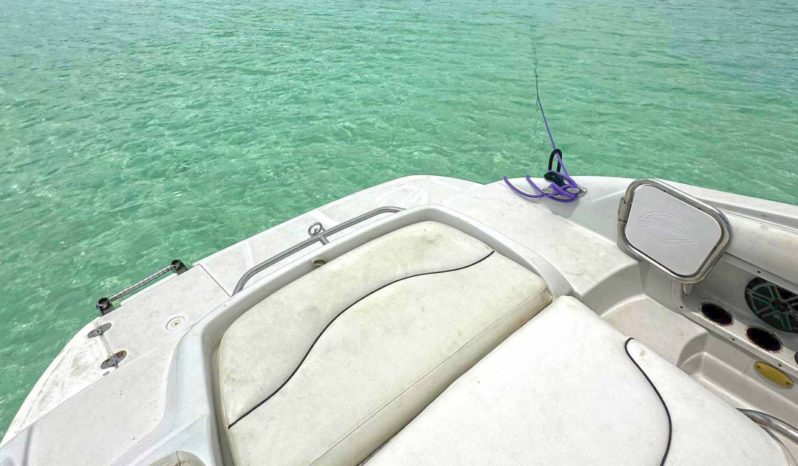 
								CROWNLINE 260EX 26 full									