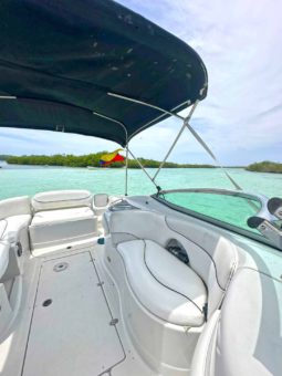
										CROWNLINE 260EX 26 full									
