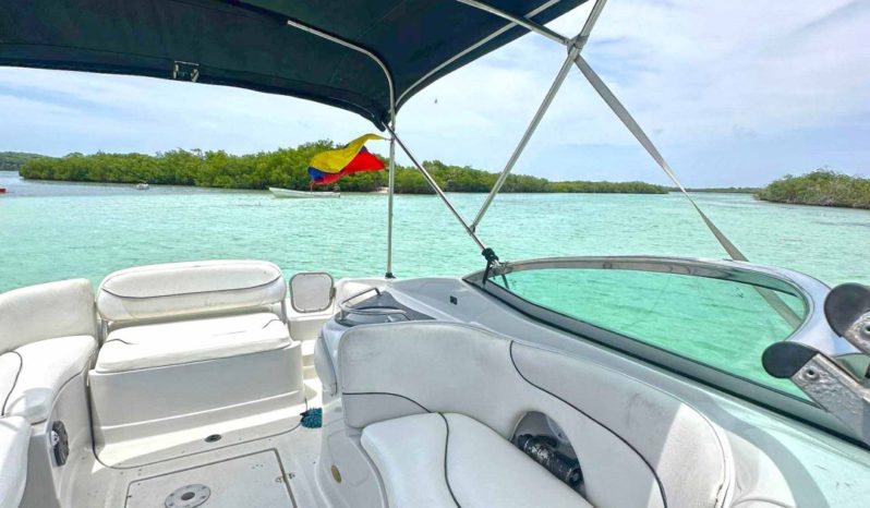 
								CROWNLINE 260EX 26 full									