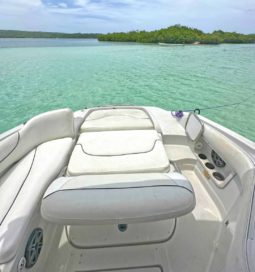 
										CROWNLINE 260EX 26 full									