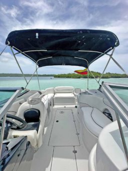 
										CROWNLINE 260EX 26 full									
