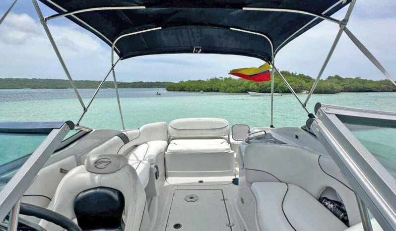 
								CROWNLINE 260EX 26 full									