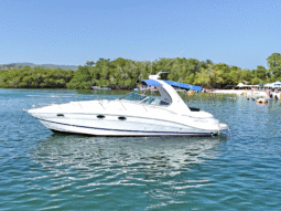 
										FOUR WINNS 358 VISTA full									