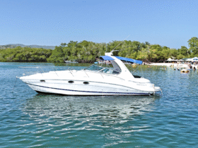 FOUR WINNS 358 VISTA