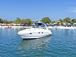 
										FOUR WINNS 358 VISTA full									