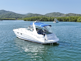 FOUR WINNS 358 VISTA