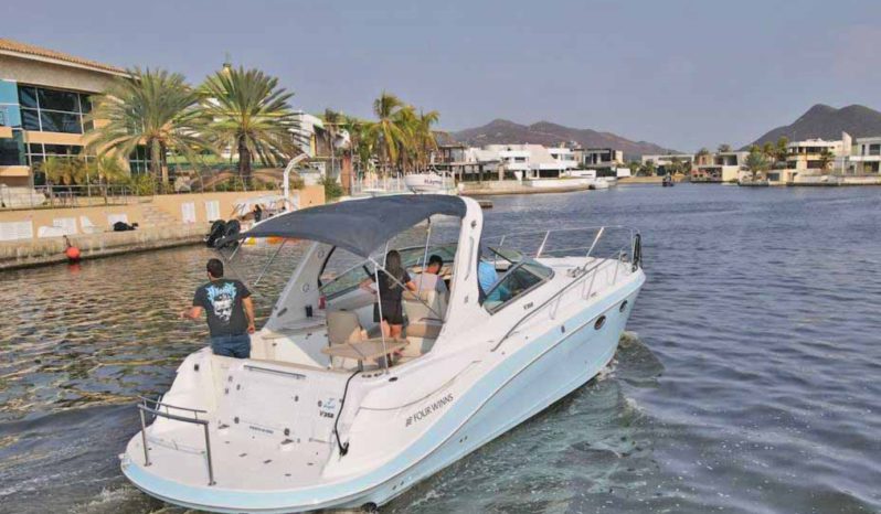 
								FOUR WINNS VISTA 358 full									
