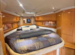 
										FOUR WINNS VISTA 358 full									