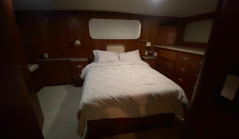 
								HATTERAS CMY 61 full									