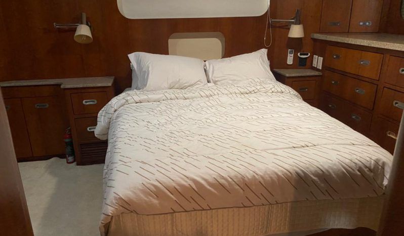 
								HATTERAS CMY 61 full									