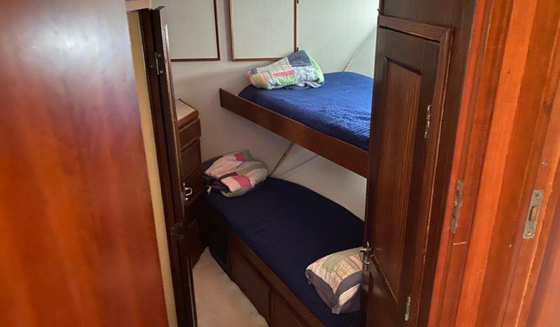 
								HATTERAS CMY 61 full									
