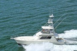 HATTERAS CONVERTIBLE 55