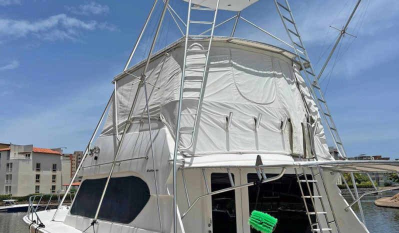 
								HATTERAS CONVERTIBLE 55 full									
