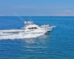 HATTERAS CONVERTIBLE 55