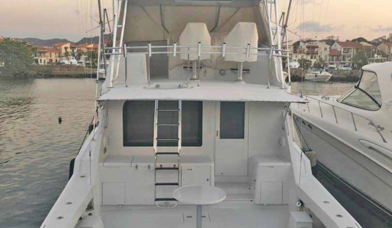 
								HATTERAS CONVERTIBLE 55 full									