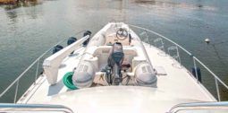 
										HATTERAS CONVERTIBLE 55 full									