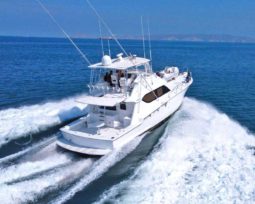 HATTERAS CONVERTIBLE 55