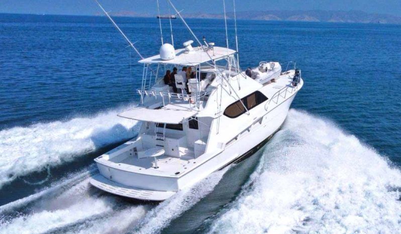 
								HATTERAS CONVERTIBLE 55 full									