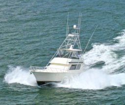 HATTERAS CONVERTIBLE 55