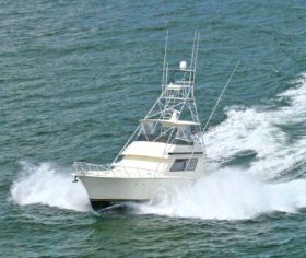 HATTERAS CONVERTIBLE 55