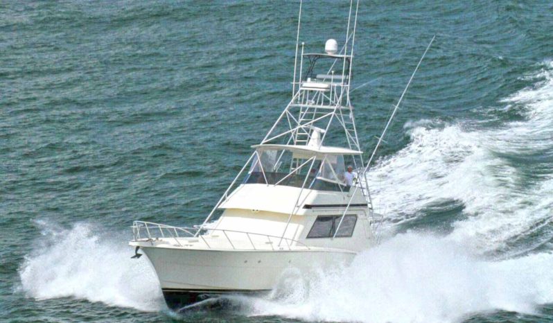 
								HATTERAS CONVERTIBLE 55 full									