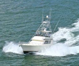 
										HATTERAS CONVERTIBLE 55 full									