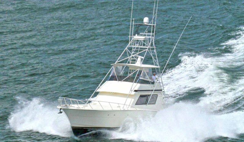 
								HATTERAS CONVERTIBLE 55 full									