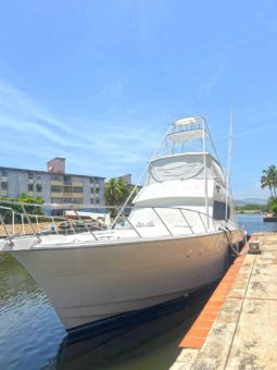 HATTERAS CONVERTIBLE 55