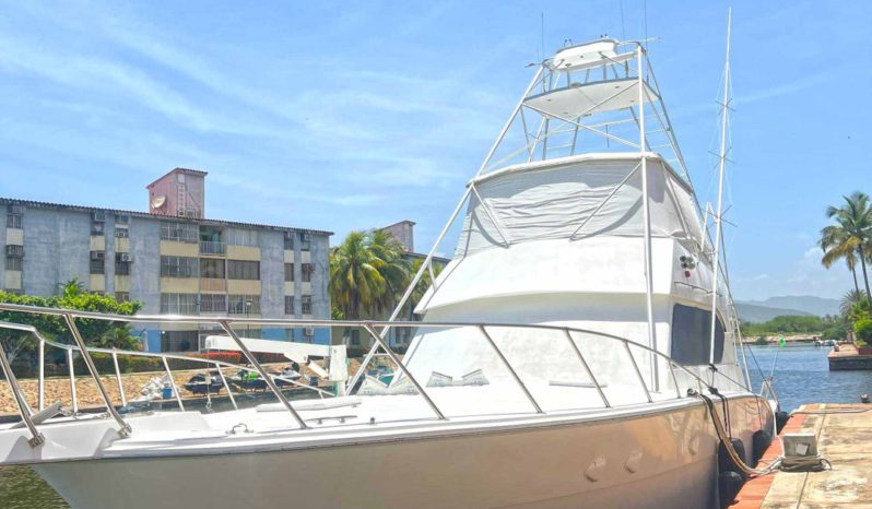 
								HATTERAS CONVERTIBLE 55 full									