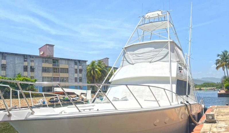 
								HATTERAS CONVERTIBLE 55 full									