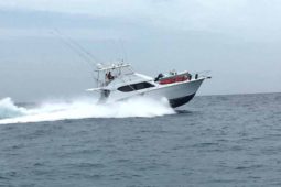 HATTERAS CONVERTIBLE 55