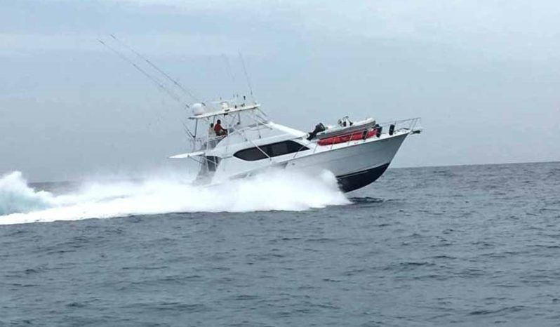 
								HATTERAS CONVERTIBLE 55 full									