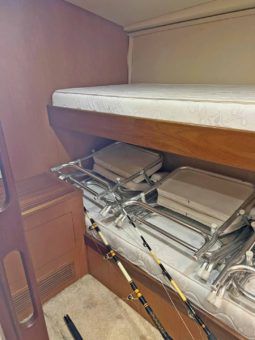 
										HATTERAS CONVERTIBLE 55 full									