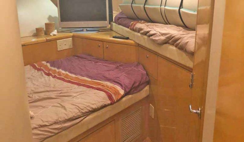 
								HATTERAS CONVERTIBLE 55 full									