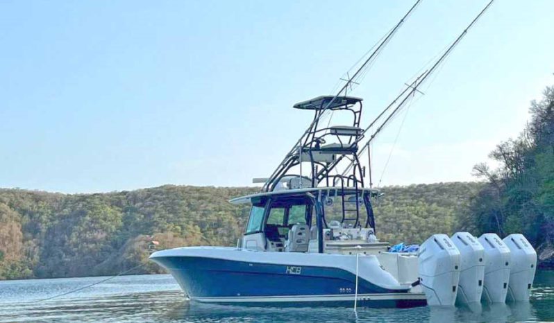 
								HCB SIESTA 42 full									
