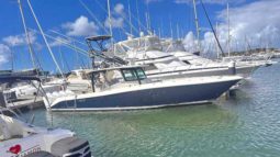 HCB SIESTA 42