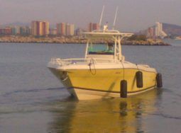 
										PROMARINE OPEN 33 full									