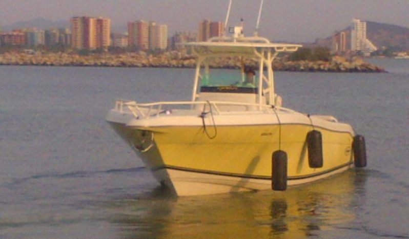 
								PROMARINE OPEN 33 full									