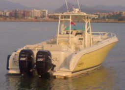 
										PROMARINE OPEN 33 full									