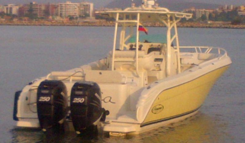 
								PROMARINE OPEN 33 full									