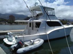 
										HATTERAS SPORT FISHING 53 full									
