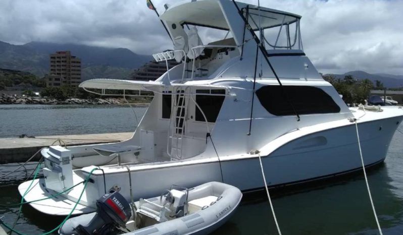 
								HATTERAS SPORT FISHING 53 full									