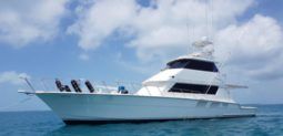 
										HATTERAS SPORT FISHERMAN 65 full									