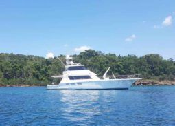 
										HATTERAS SPORT FISHERMAN 65 full									