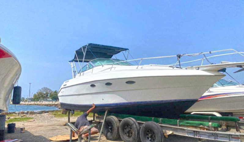 
								INTERMARINE 29.4 full									