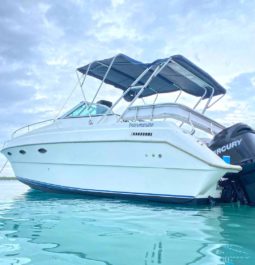 INTERMARINE 29.4