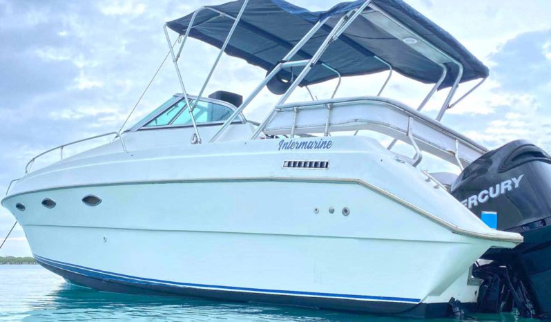 
								INTERMARINE 29.4 full									
