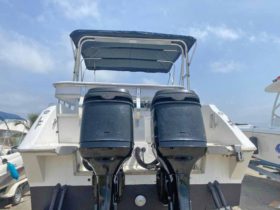 INTERMARINE 29.4