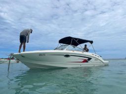 
										CHAPARRAL 24 full									